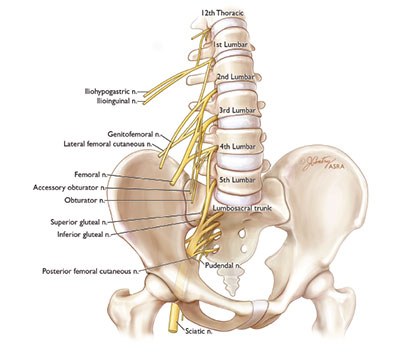 ARTÍCULO DE BLOQUEOS DE MMII ECOGUIADOS